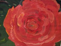 Lippische Rose